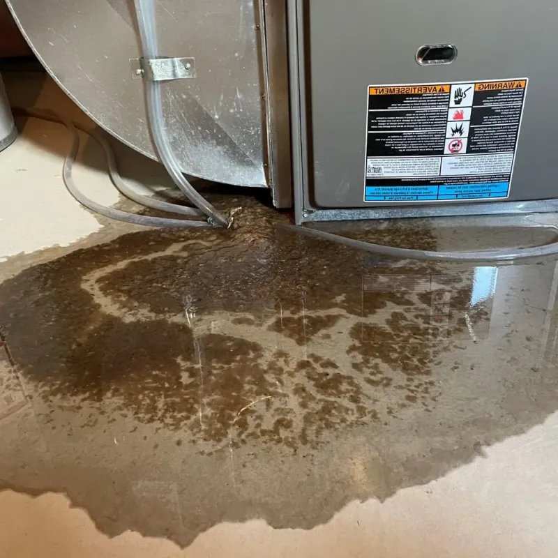Pipe Burst and Leak Restoration in High Ridge, MO