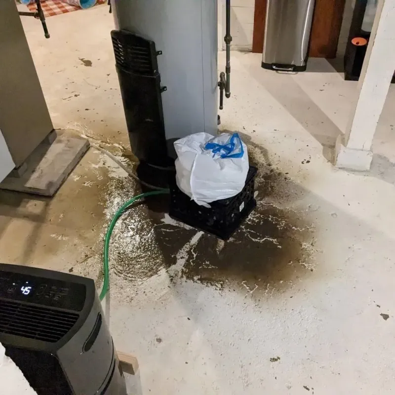 Sewage Backup Cleanup Service in High Ridge, MO